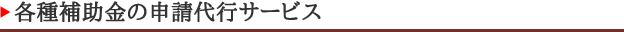 各種補助金の申請代行サービス