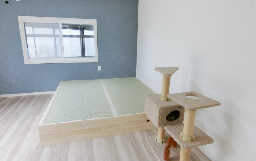 猫部屋の小あがりの畳はベットにもなり、一緒に遊びます